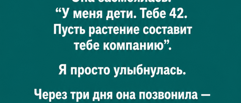 Мне оставили только кактус, а сестра потом умоляла вернуть его