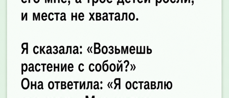 Я заставила 72-летнюю маму покинуть дом, а через 40 дней ее последний подарок сломал меня
