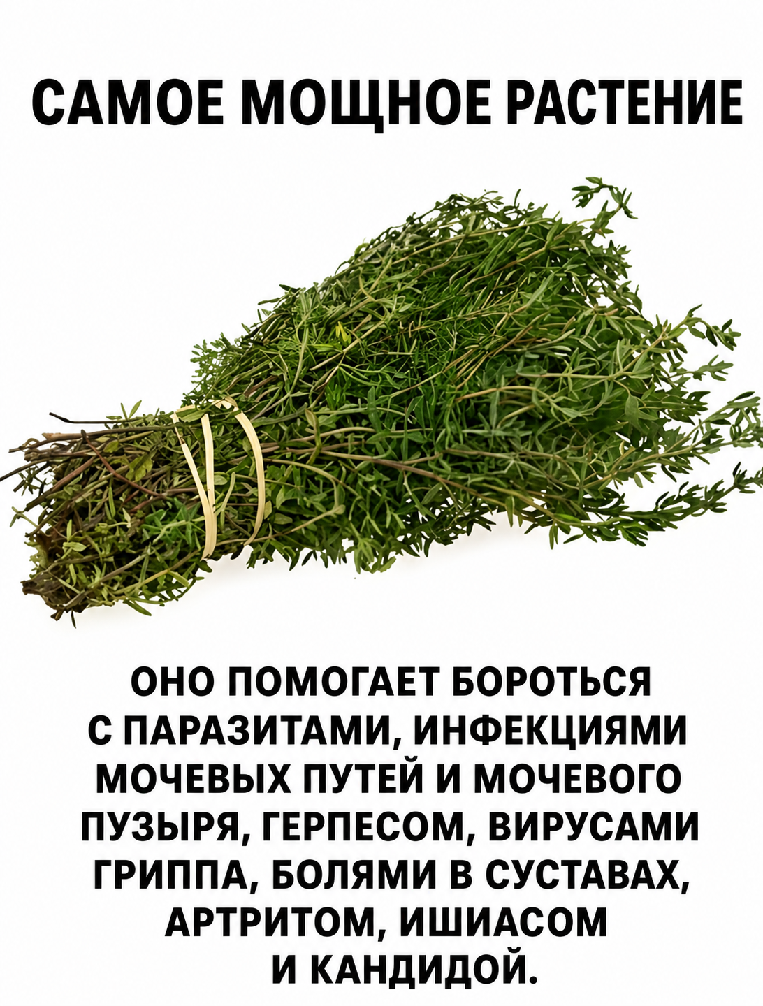 Последняя молитва ребёнка